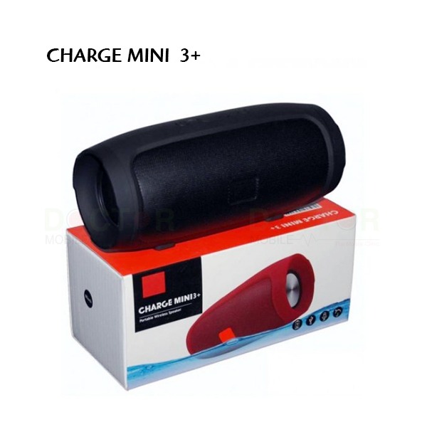 Speaker store charge mini